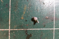 1_wip-orc-bras_31361583967_o