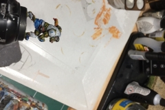 1_wip-orc_44592647650_o