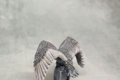 8_AfterlightImage-02