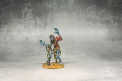 Hag