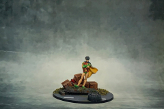 Robin