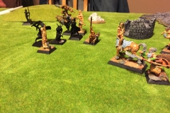 song-of-blades-and-heroes_17808277262_o-2