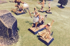 song-of-blades-and-heroes_17810989795_o