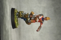 wardancer-mh_42860682110_o
