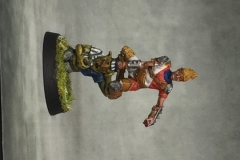 wardancer-mh_42860682160_o