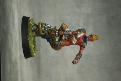 wardancer-mh_43761374765_o