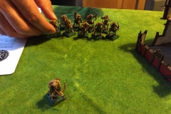 warhammer-aos_19744023155_o
