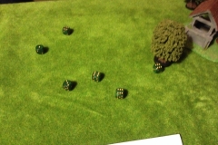 warhammer-battle_16243181033_o