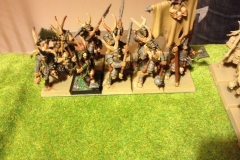 warhammer-battle_16675558698_o